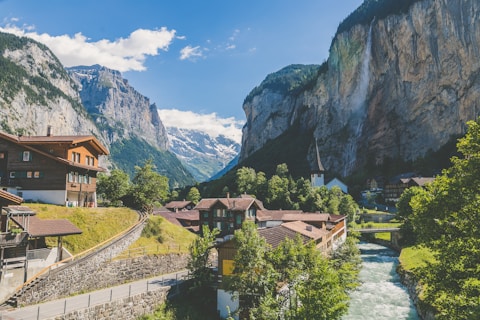 houses near valley with trees