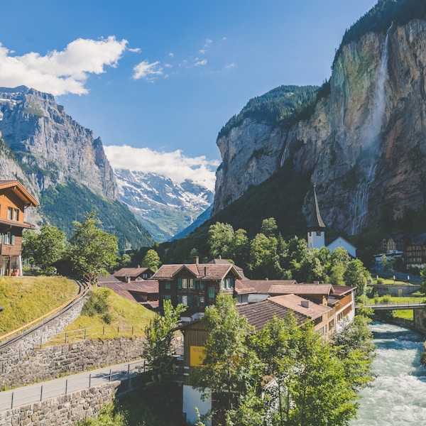 houses near valley with trees