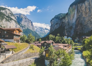 houses near valley with trees