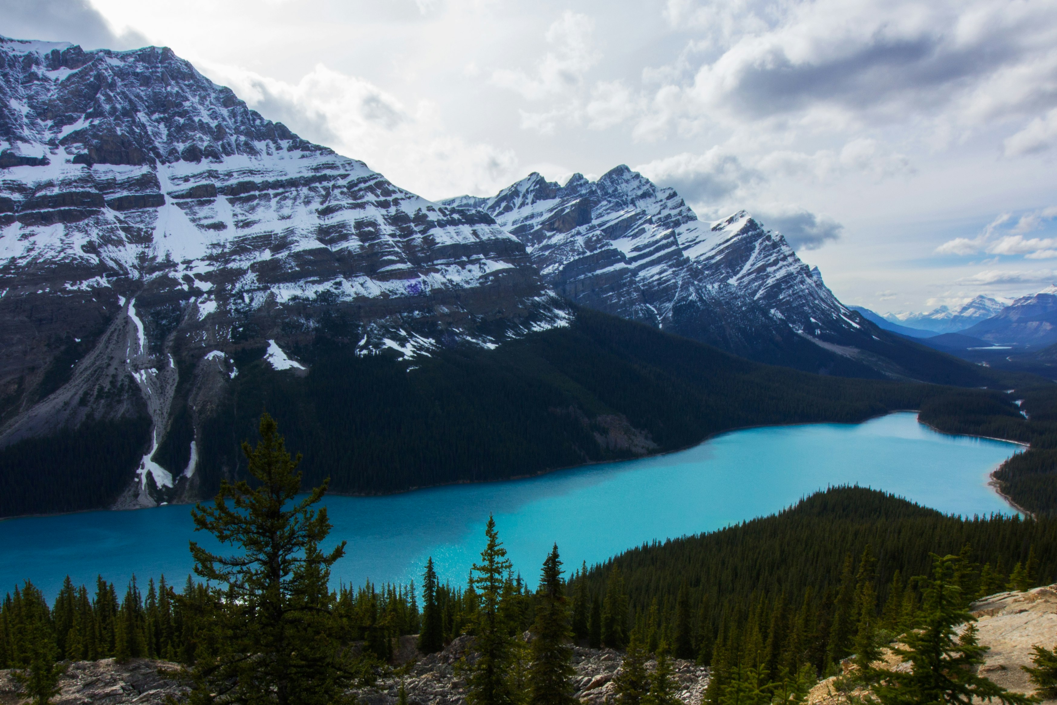 areal view of mountain near body of water and trees