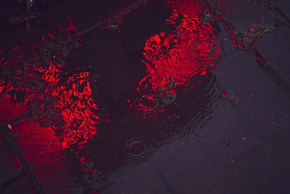 a reflection of a bike in a puddle of water