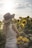 Smiling woman holding a basket of fresh vegetables in a sunny farm field