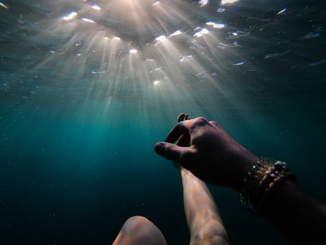 Underwater photo spot Canary Islands Adeje