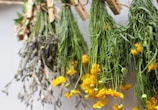 Freshly harvested bundles of aromatic herbs drying in sunlight on a farmhouse porch.