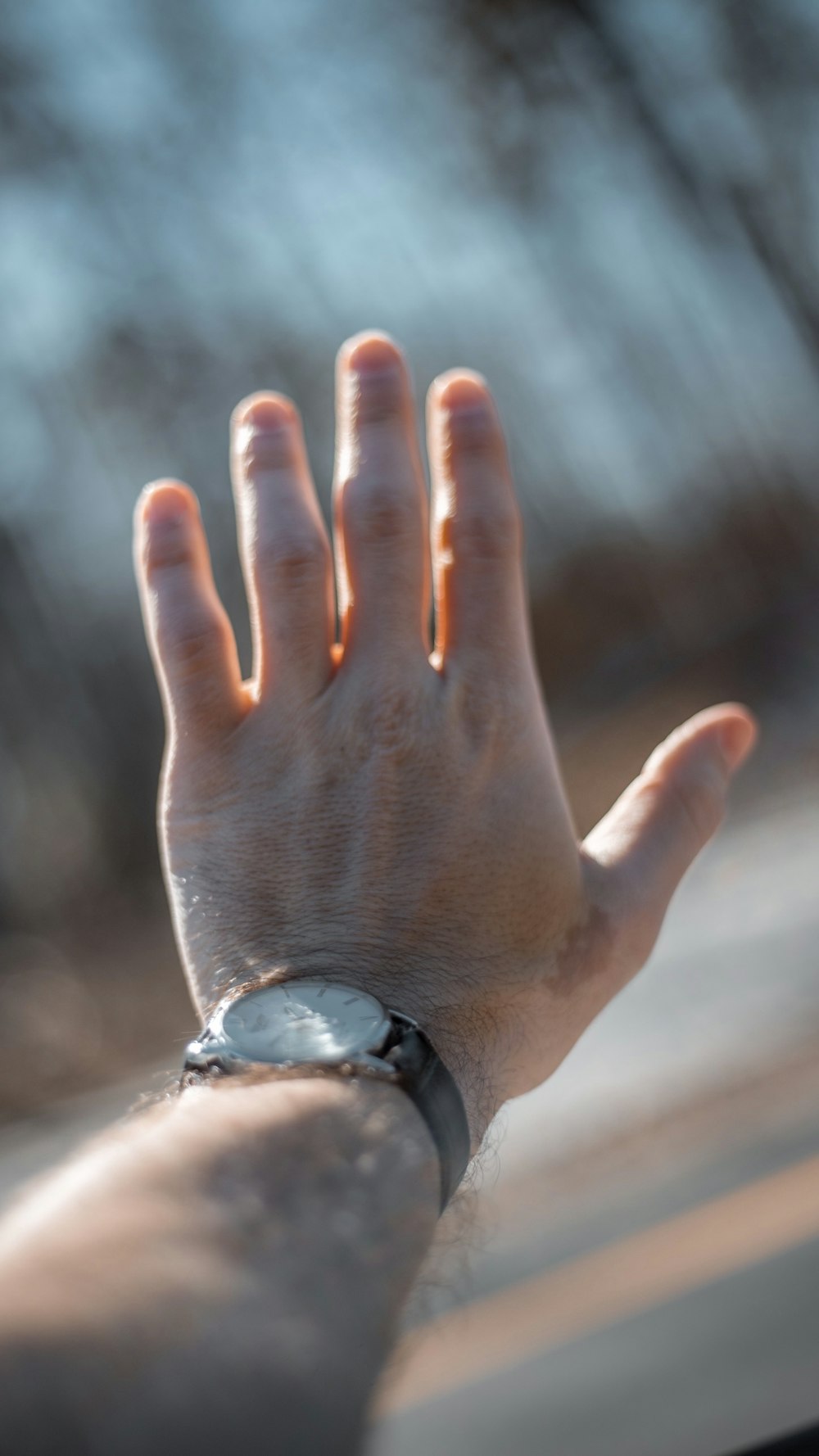 person holding silver-colored analog watch