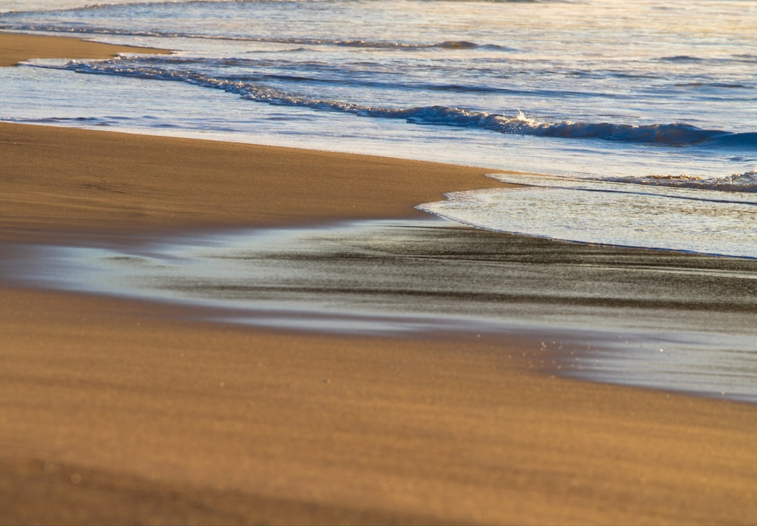 landscape photography of seashore