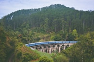 A luxury heritage train crossing a scenic bridge surrounded by lush greenery.