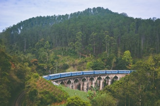 A luxury heritage train crossing a scenic bridge surrounded by lush greenery.