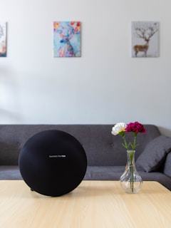 A modern living room setup featuring a dark gray couch against a white wall. On the wooden coffee table in the foreground, there is a black spherical Harman Kardon speaker and a glass vase with two flowers, one white and one dark pink. Three colorful paintings of deer are hung on the wall above the couch.