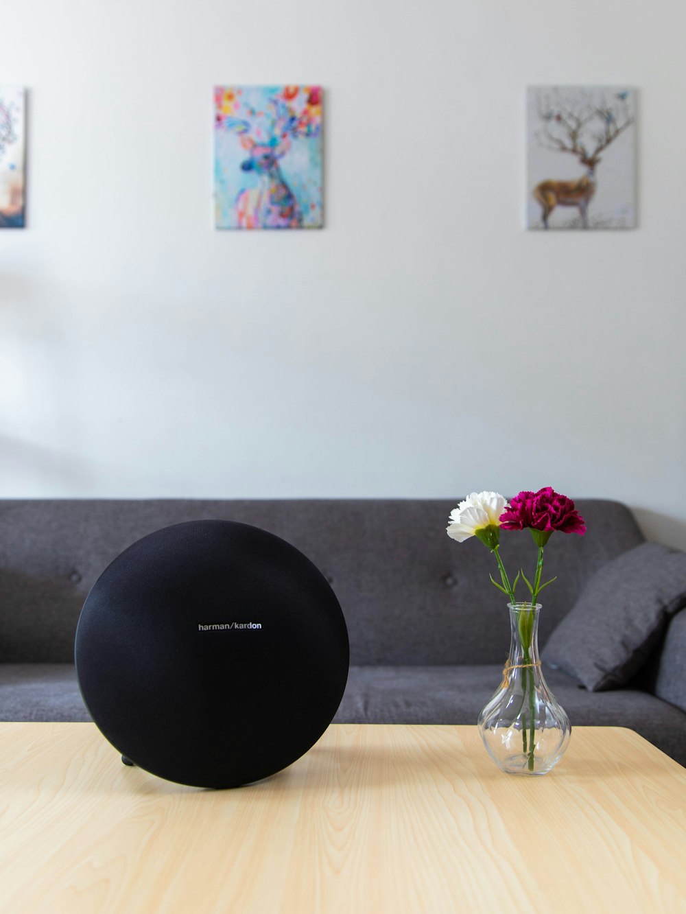 round black Harman/Kardon wireless speaker