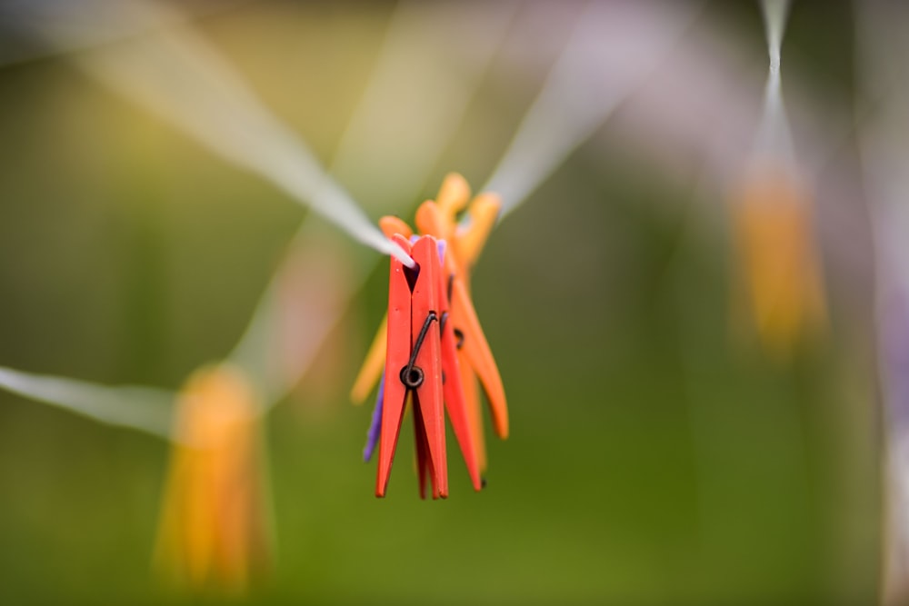 selective focus of clothespin on wire
