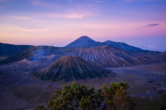 mountain near trees at daytime in Mount Bromo Indonesia