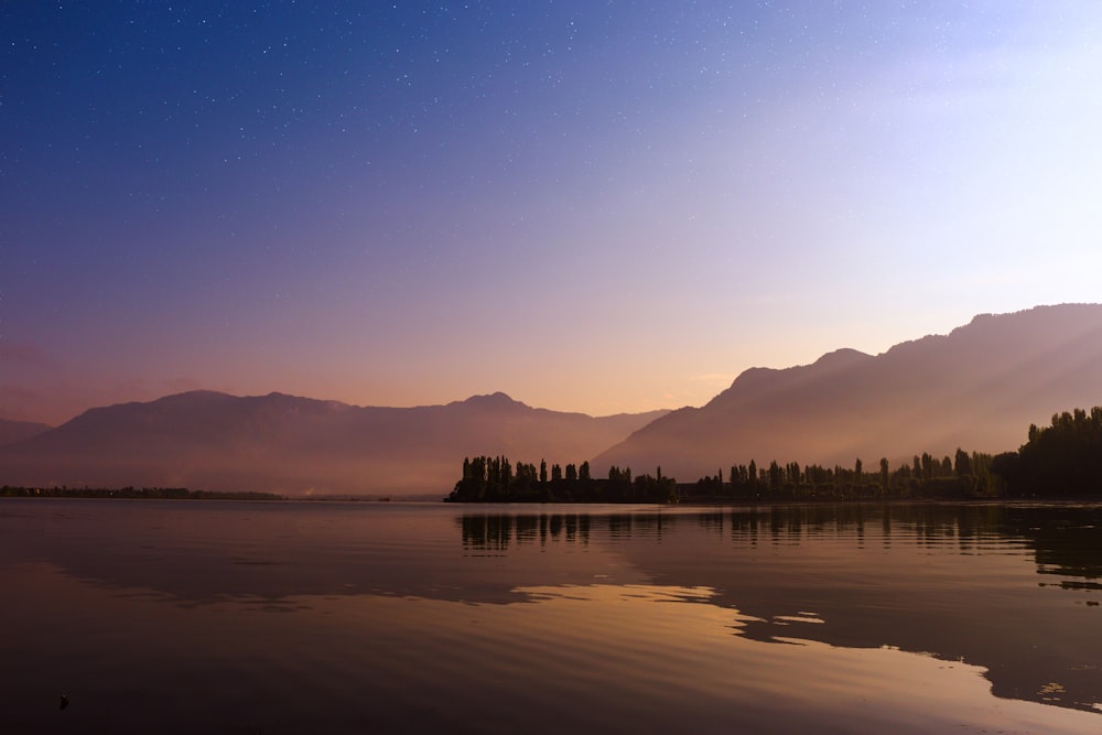 silhouette of trees near body of water