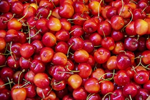 red berry lot