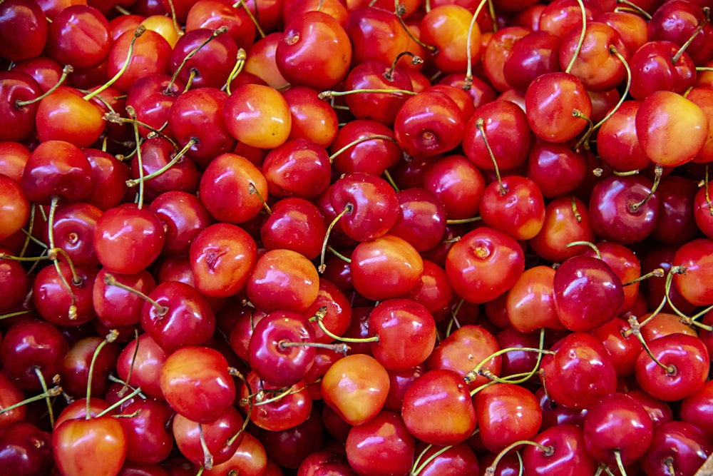 lot de fruits rouges