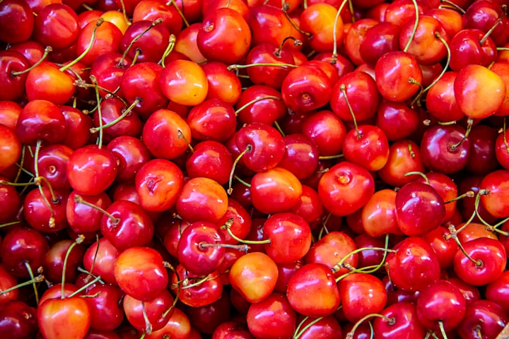 Cherry-picking là gì và nó có ảnh hưởng ra sao trong UX?