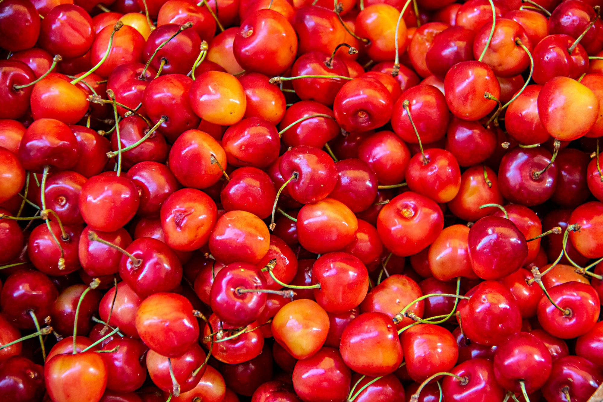 In Sorrento, in June, the cherries are ripe and ready to pick and send to market.  Due to the high temperatures and humidity, they also have, what the locals call Cherry Storms, thunderstorms that are dramatic, heavy and clear the air within a couple of hours.