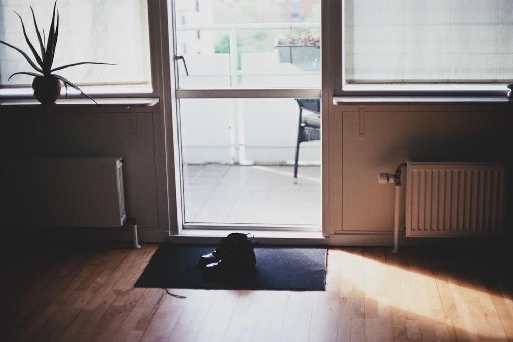 black puppy on door mat inside room