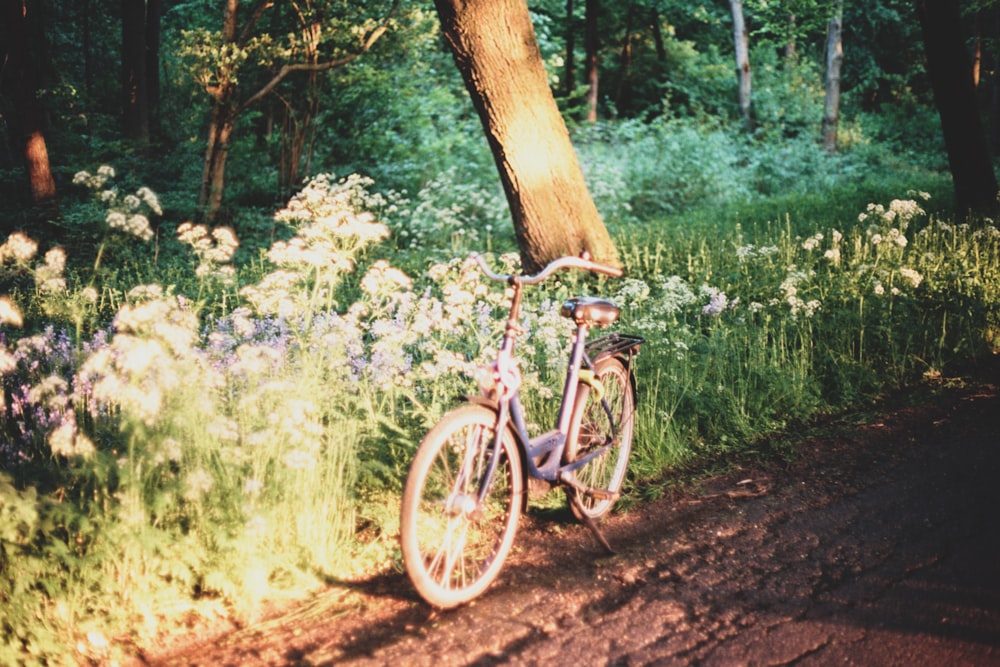 gray city cruiser bicycle