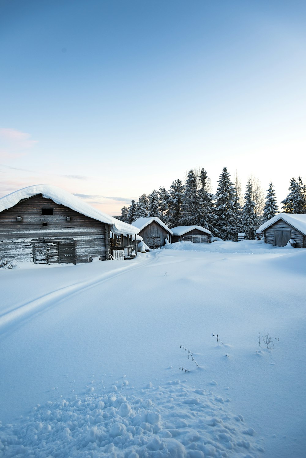 snow covered houses and land near trees during day