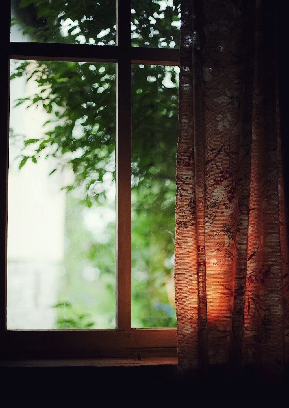 brown and black floral curtains near green leafed trees