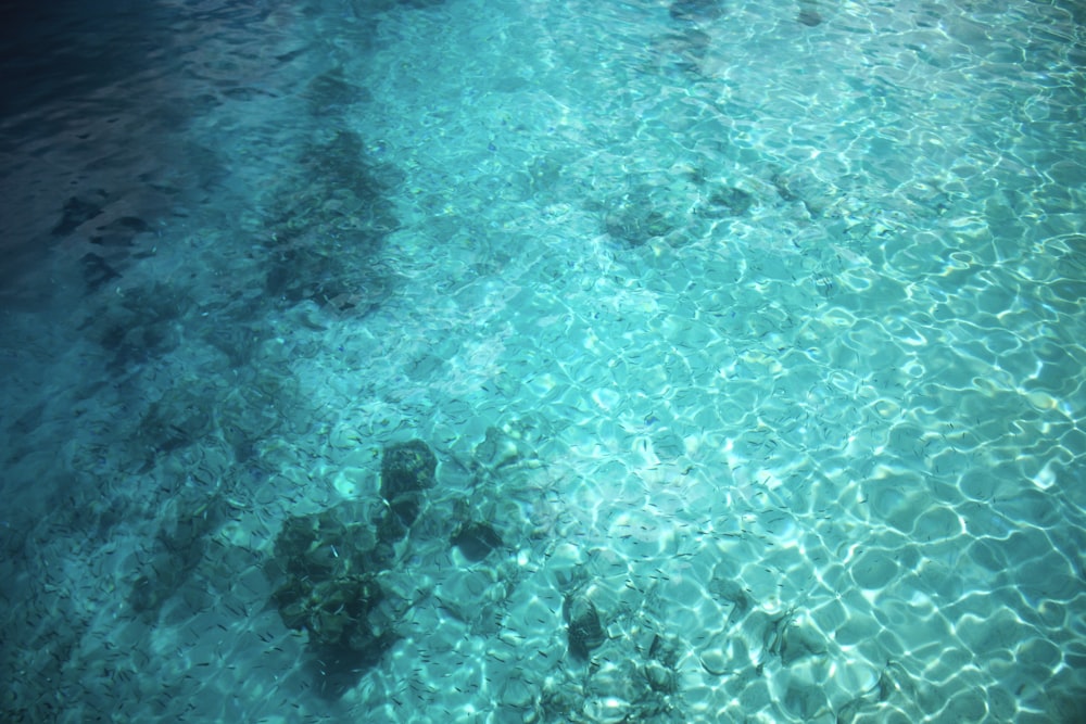 brown stone in body of water