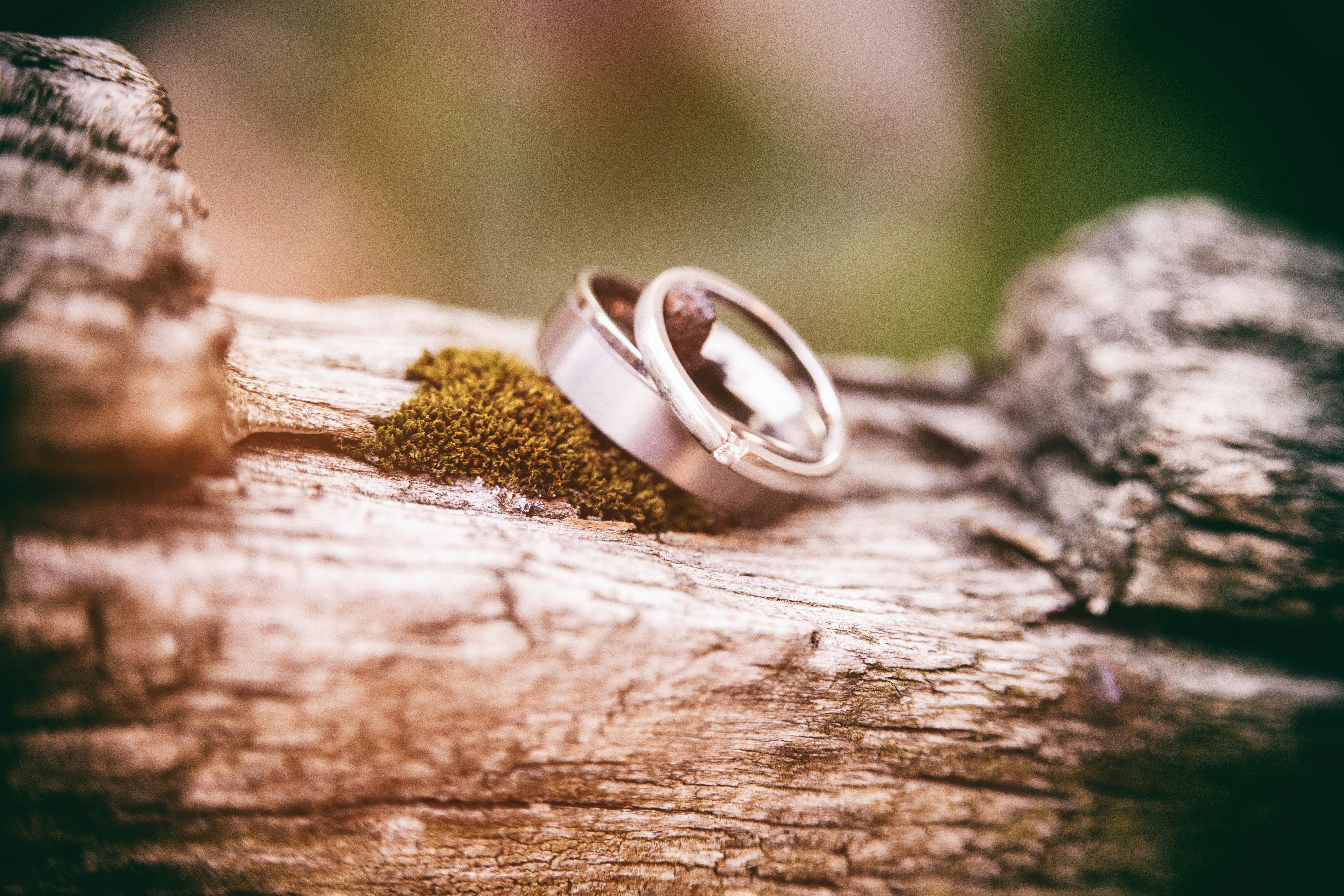 Wedding Rings on Wood