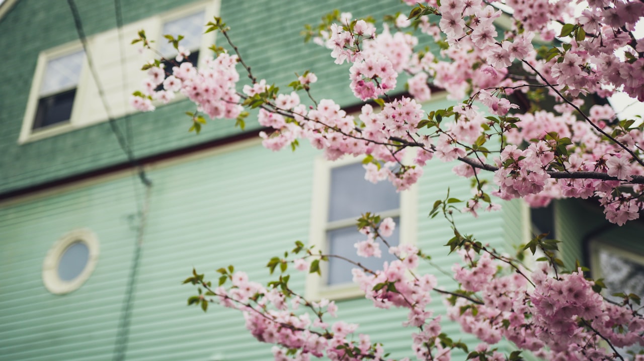 Spring home maintence tips!
