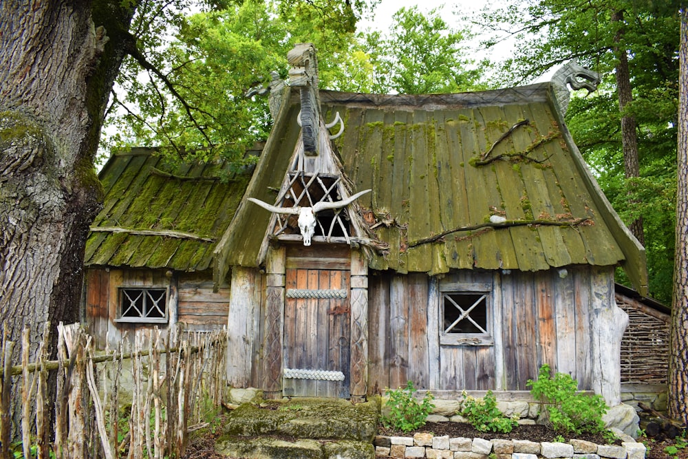 green and gray wooden house in forest field