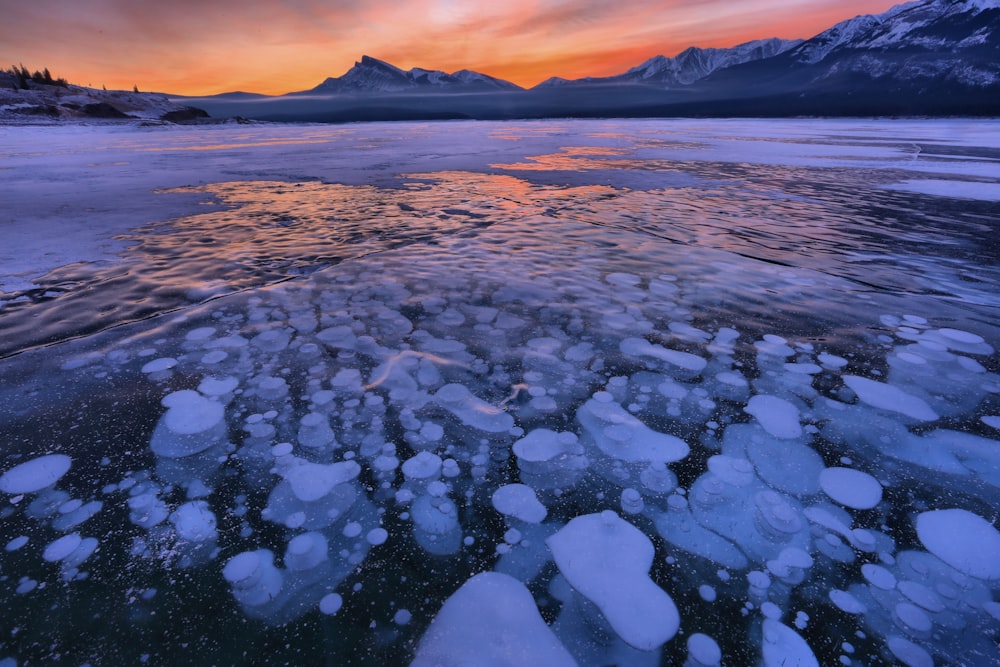 ice cubes on water