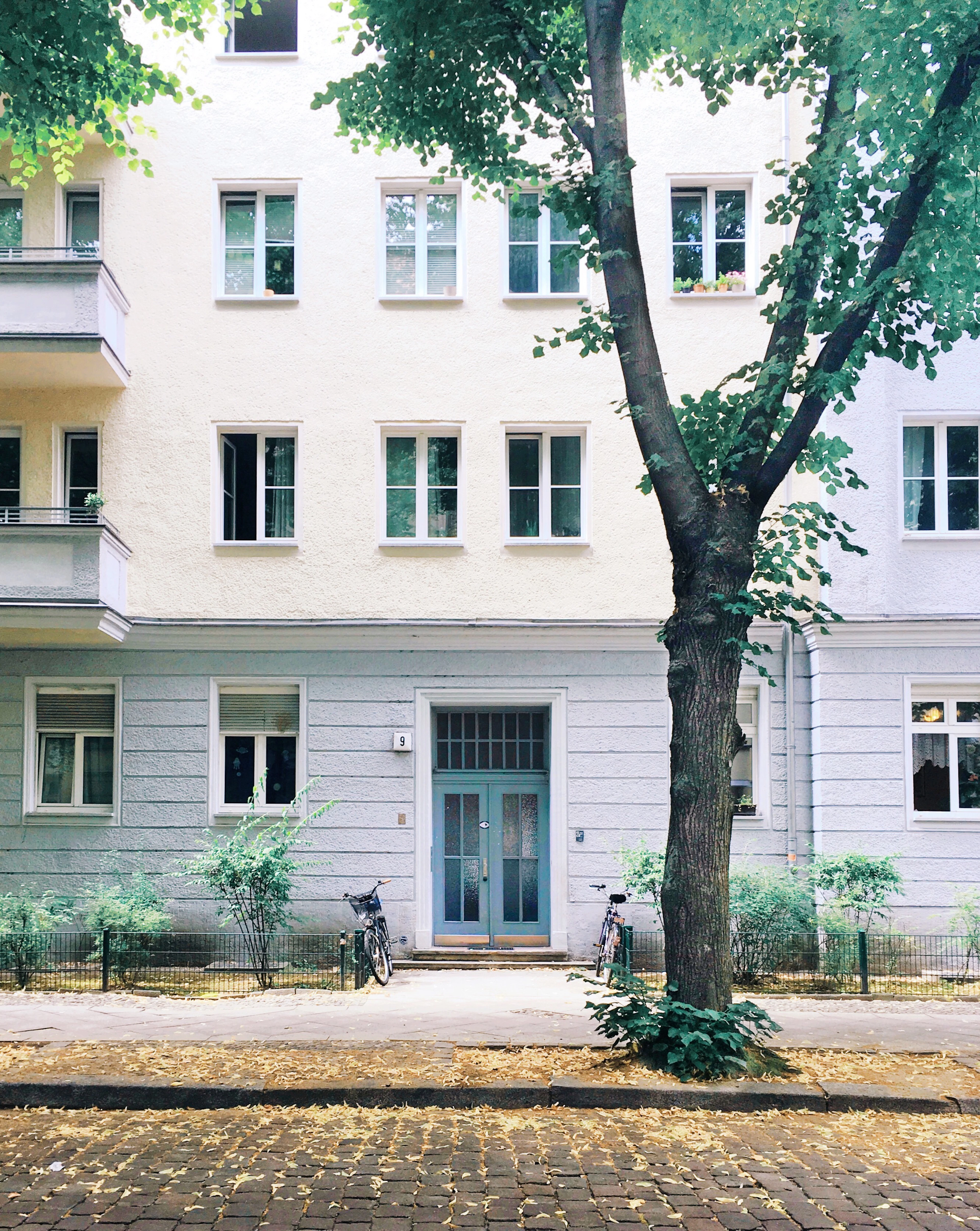 A leafy tree shades the pale facade and blue front door of a quiet Friedrichshain apartment building.