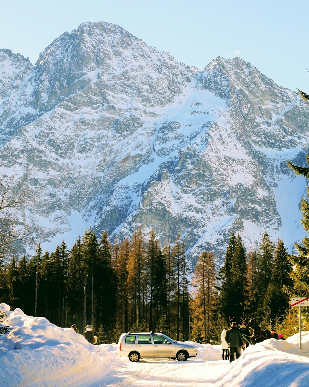 SUV park near alpine mountain with trees