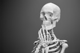 greyscale photography of skeleton