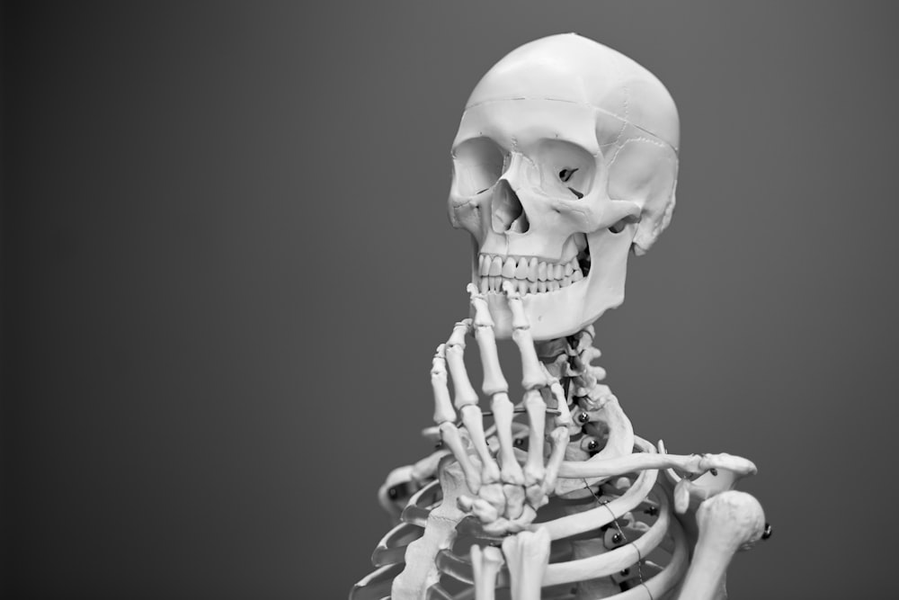 fotografia em escala de cinza do esqueleto