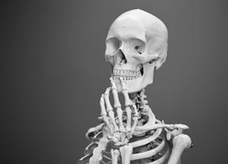 greyscale photography of skeleton