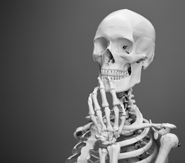 greyscale photography of skeleton