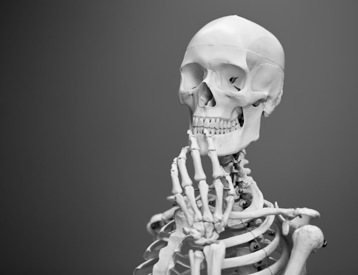 greyscale photography of skeleton