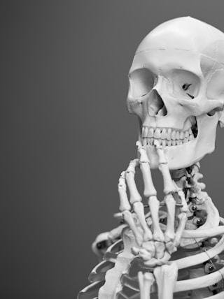 greyscale photography of skeleton