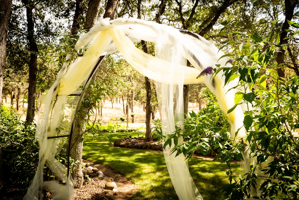 green trees with white sheer net