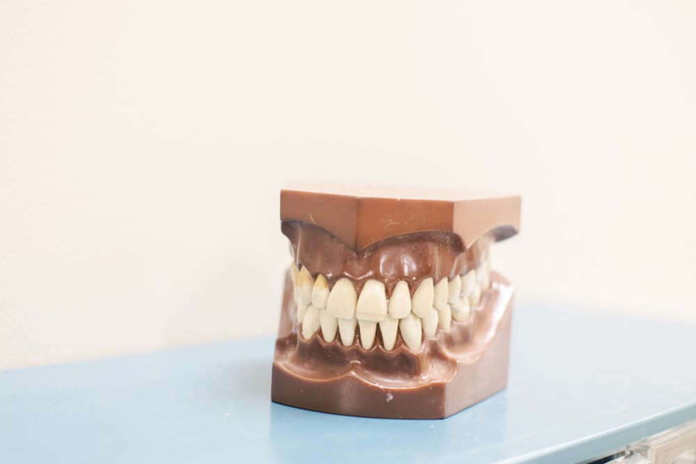 teeth denture on top of blue shelf