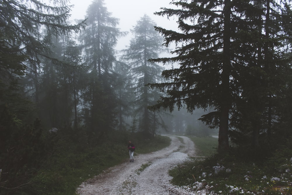 woman walking on road