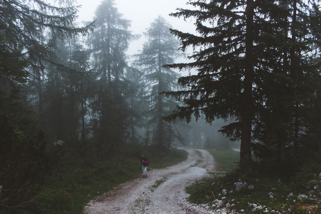 Highland photo spot Å½iÄ�nice Vogel Bohinj Triglav