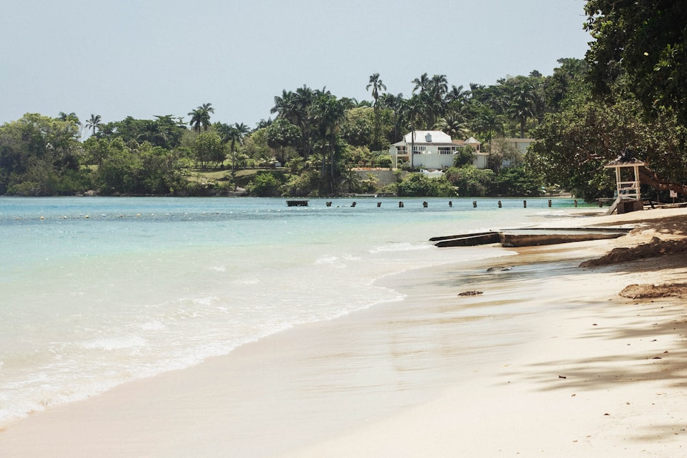 photo of beach during daytime