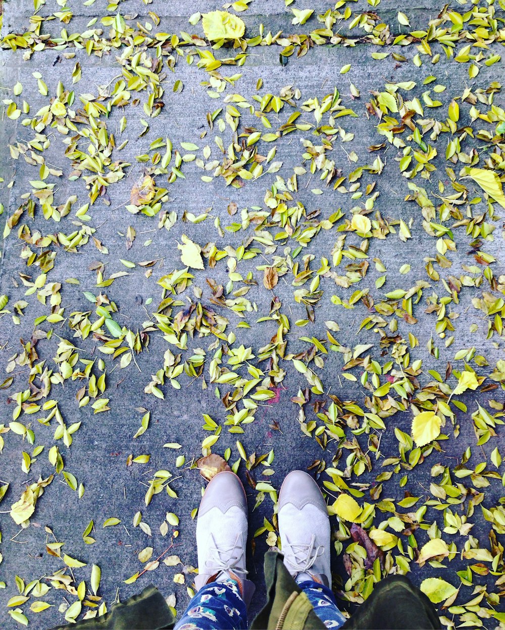 photo of person standing on pile of leaves