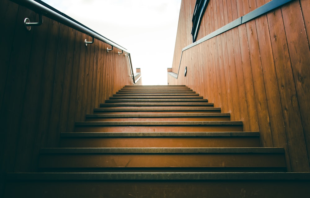 stairs worm-eye photography