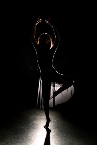 Silhouette of a dancer captured mid-movement with a rich black background emphasizing form.