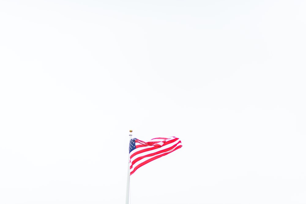 Bandiera degli Stati Uniti d'America