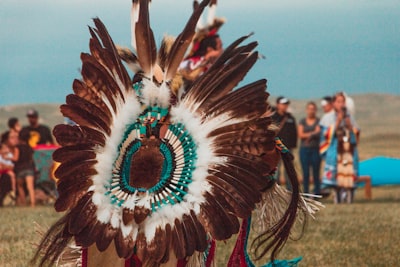 person wearing brown, white, and teal feather costume native american google meet background