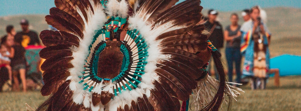 chief@haasabim.co.il