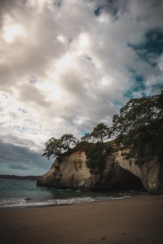 rock formation surrounded by trees near body of water under cloudy sky at daytime in Te Whanganui-A-Hei Marine Reserve New Zealand